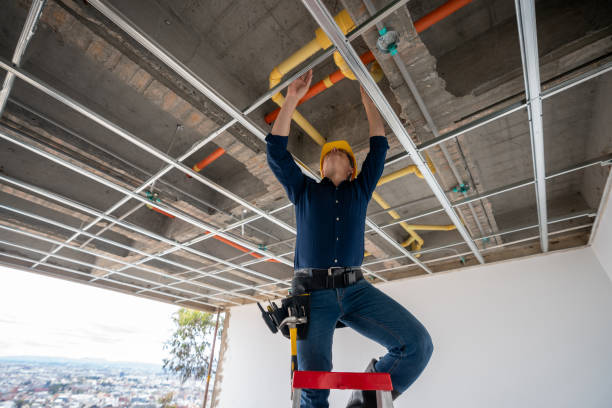 Best Affordable Plumber Near Me  in Griswold, IA