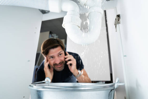 Best Clogged Drain Plumber  in Griswold, IA