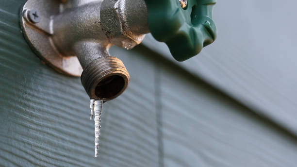 Best Drain Cleaning Services  in Griswold, IA