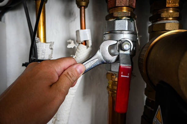 Best Plumbing Repair Near Me  in Griswold, IA
